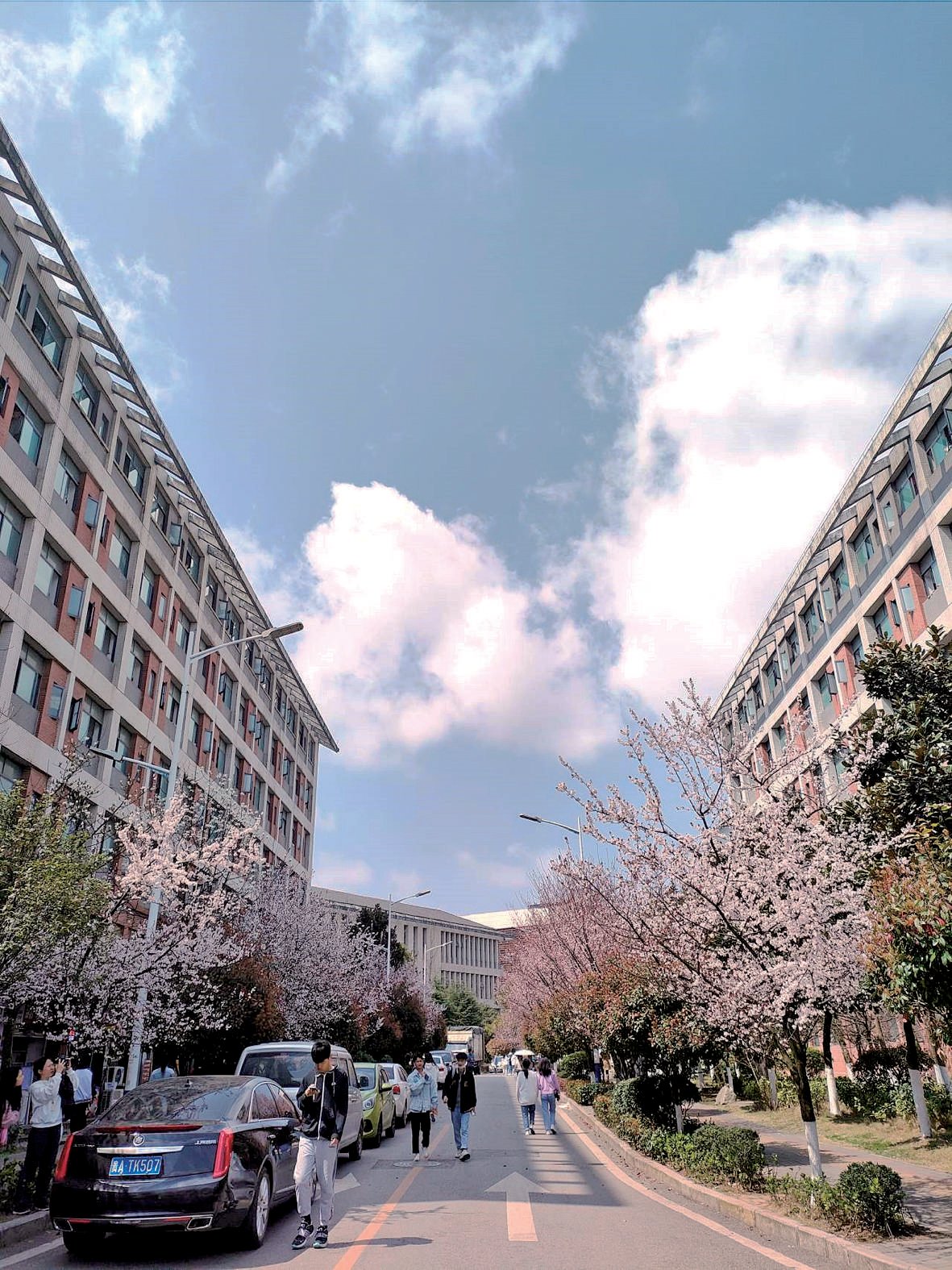 王章青 摄(作者系文学院汉语言文学专业2019级学生) 王章青 摄(作者系文学院汉语言文学专业2019级学生)