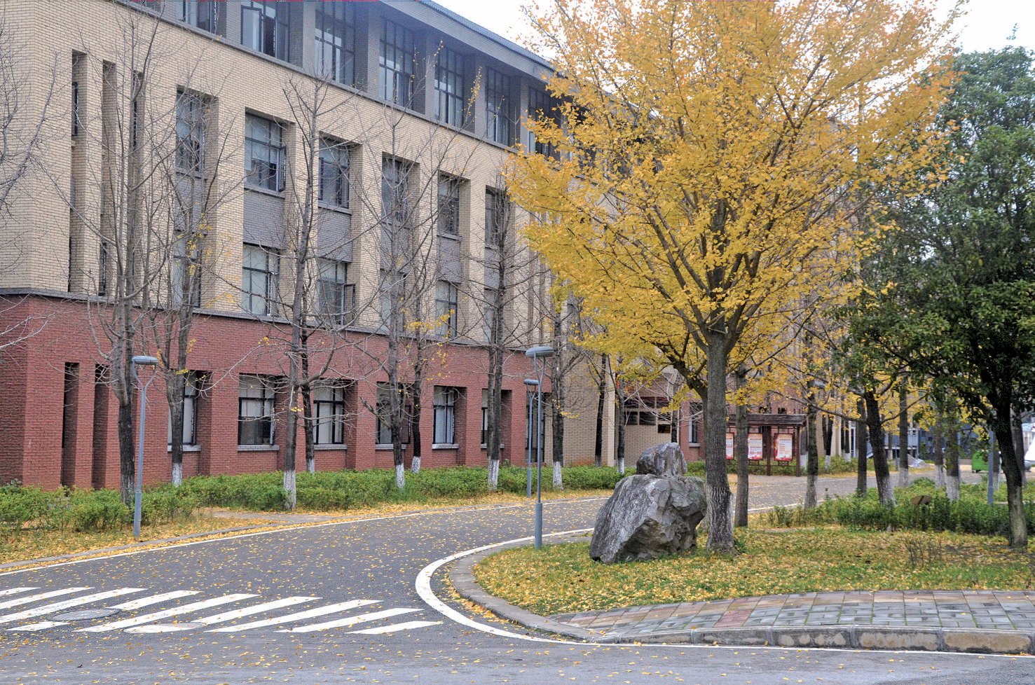 磨圣燕 摄（作者系地理与环境科学学院地理信息科学专业2021级学生）